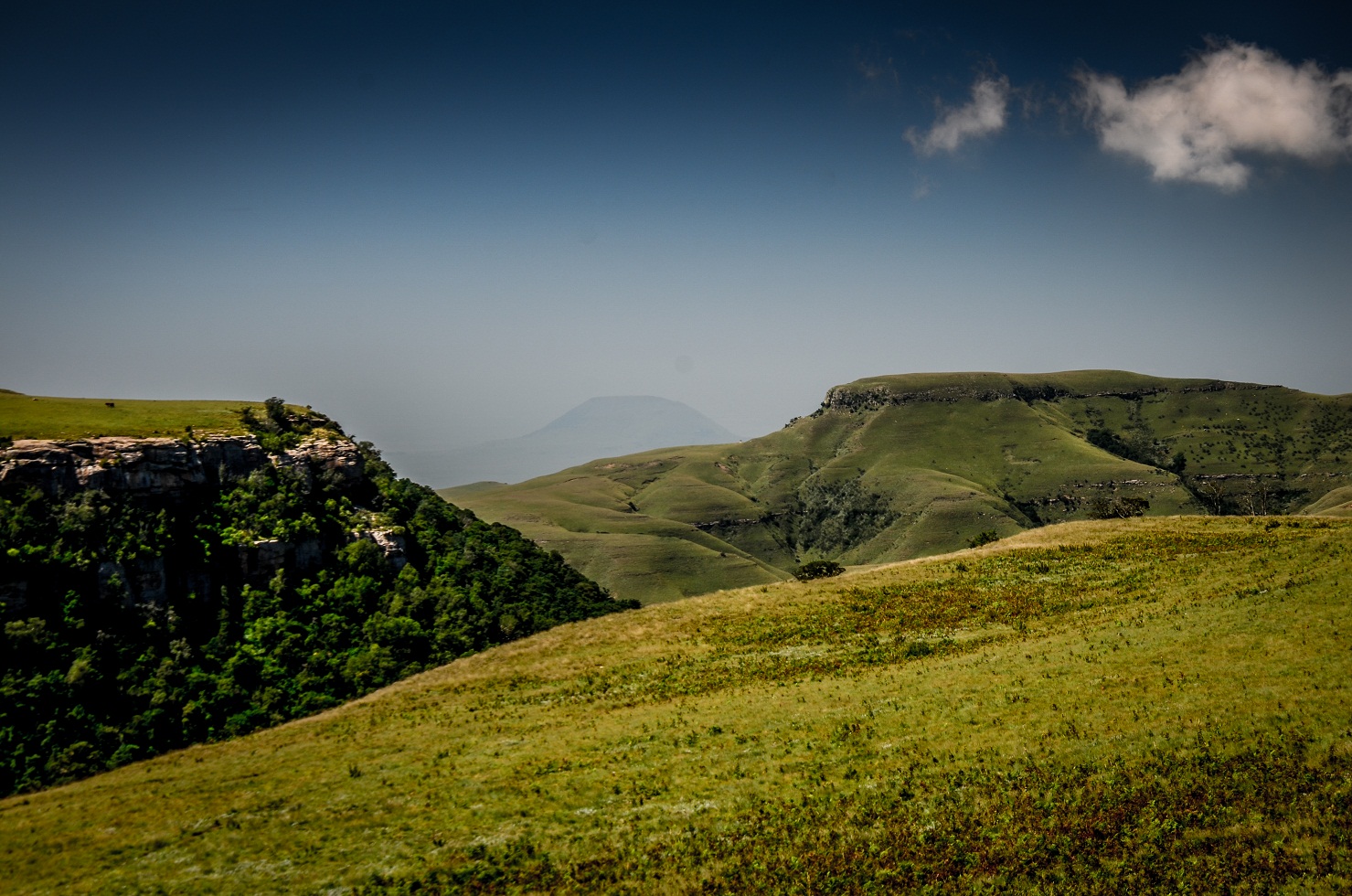 Lets wander…