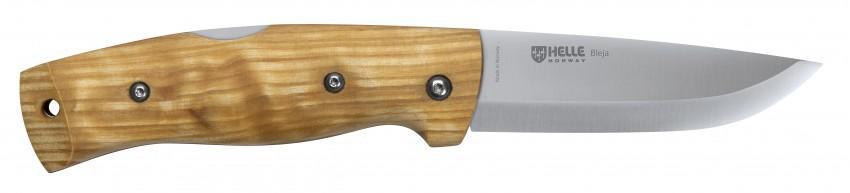 Bleja